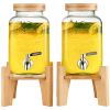 VEVOR Beverage Dispenser, 1 Gallon Drink Dispensers for Parties, 2PC, Glass Juice Dispenser with Stand, Stainless Steel Spigot, Iced Tea Lemonade Juic