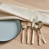 (4 pack) Stainless Steel Dinner Spoon