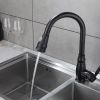New Single Handle Pull-Down Sprayer Kitchen Faucet in Black