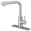 2 Sprayer Single Hole Single-Handle Pull Out Kitchen Faucet 360°Swivel Spout