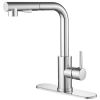 2 Sprayer Single Hole Single-Handle Pull Out Kitchen Faucet 360°Swivel Spout
