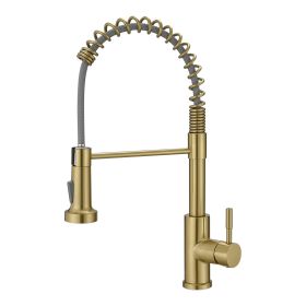 Modern 304 stainless steel pull-out kitchen faucet (Color: Brushed G)